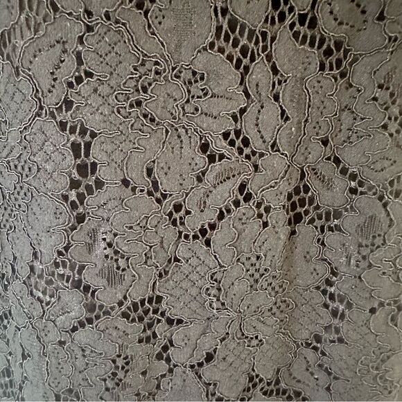 Banana Republic Factory Black Lace
3/4 Sleeve Dress Size 4 EUC - Picture 2 of 9